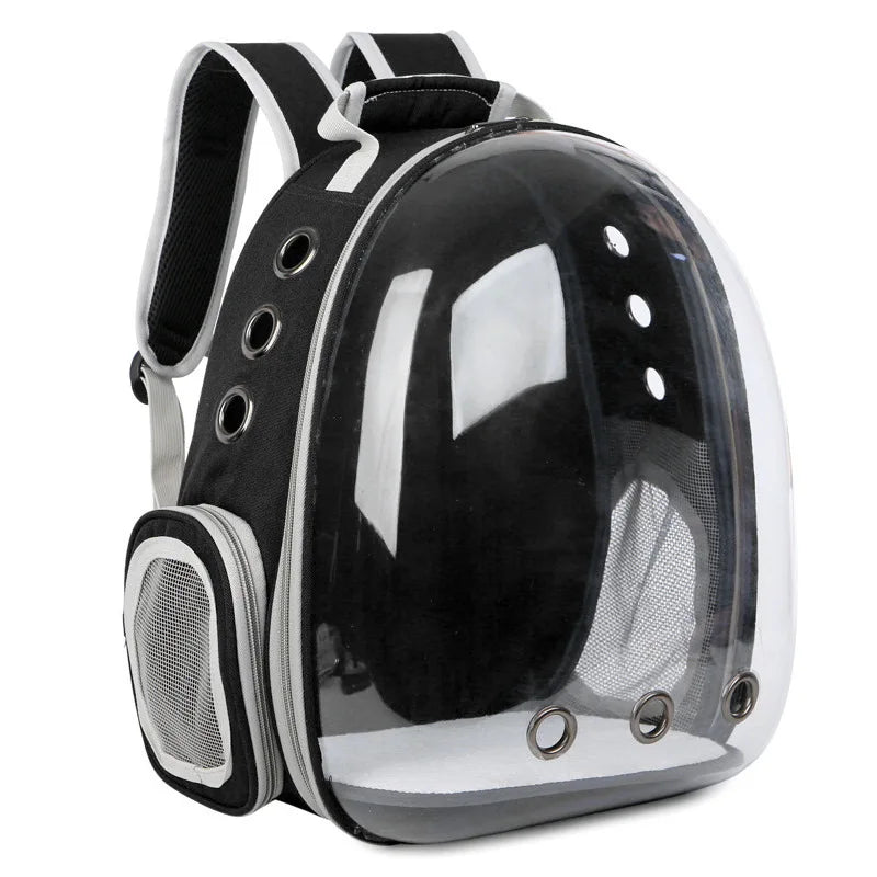 Rocket Cat Midnight Black