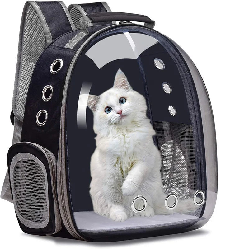 Rocket Cat Solar Yellow