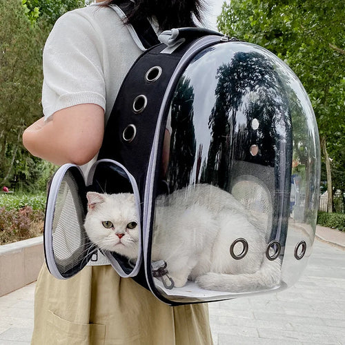 Rocket Cat Midnight Black