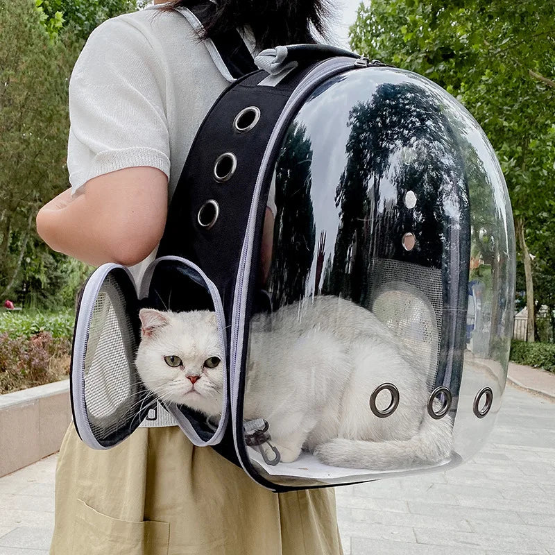 Rocket Cat Forest Green