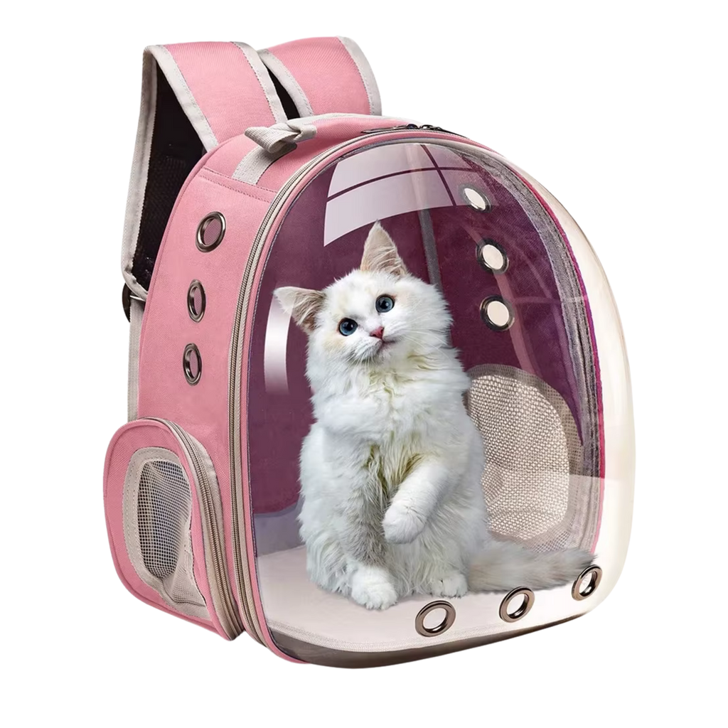 Rocket Cat Stardust Pink