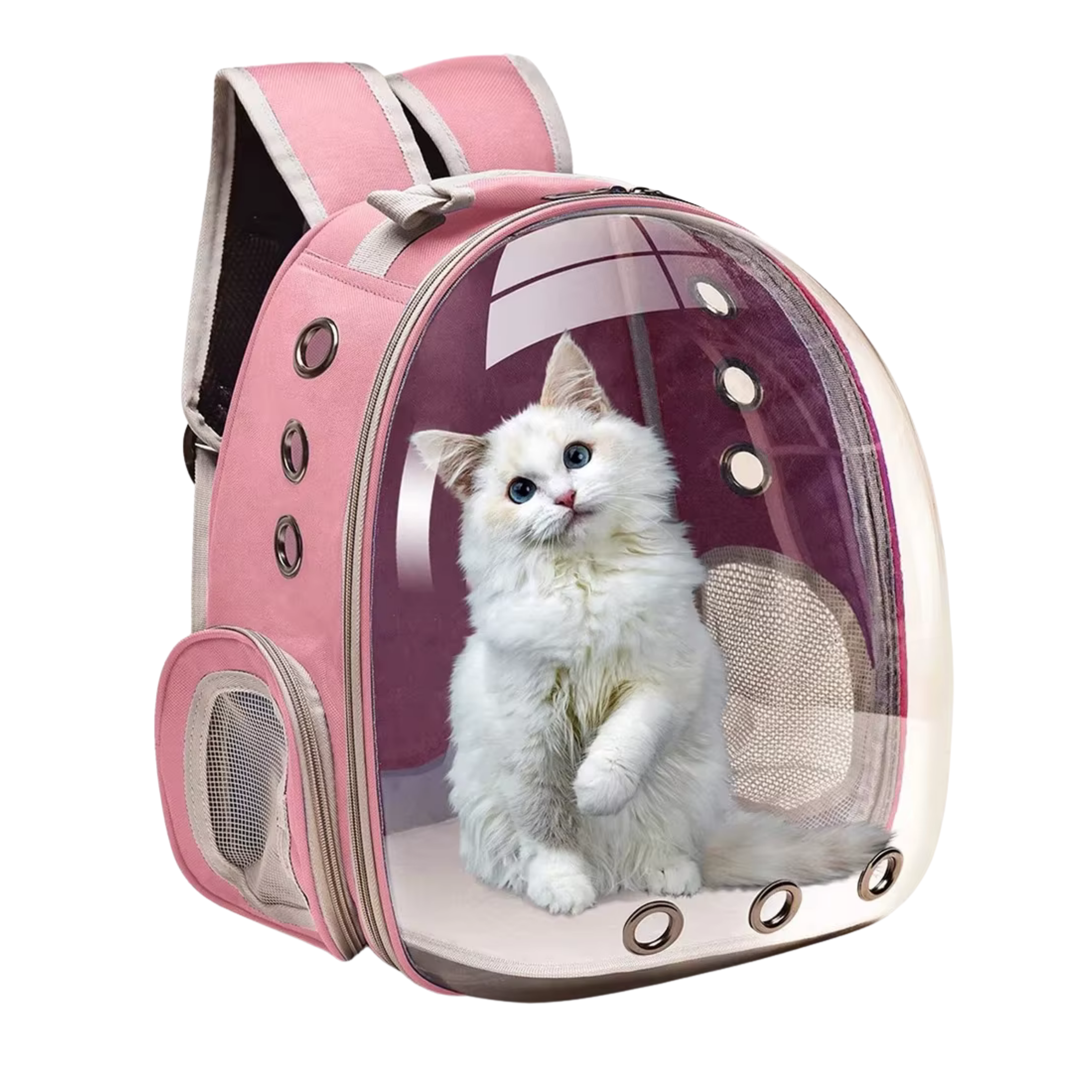 Rocket Cat Stardust Pink