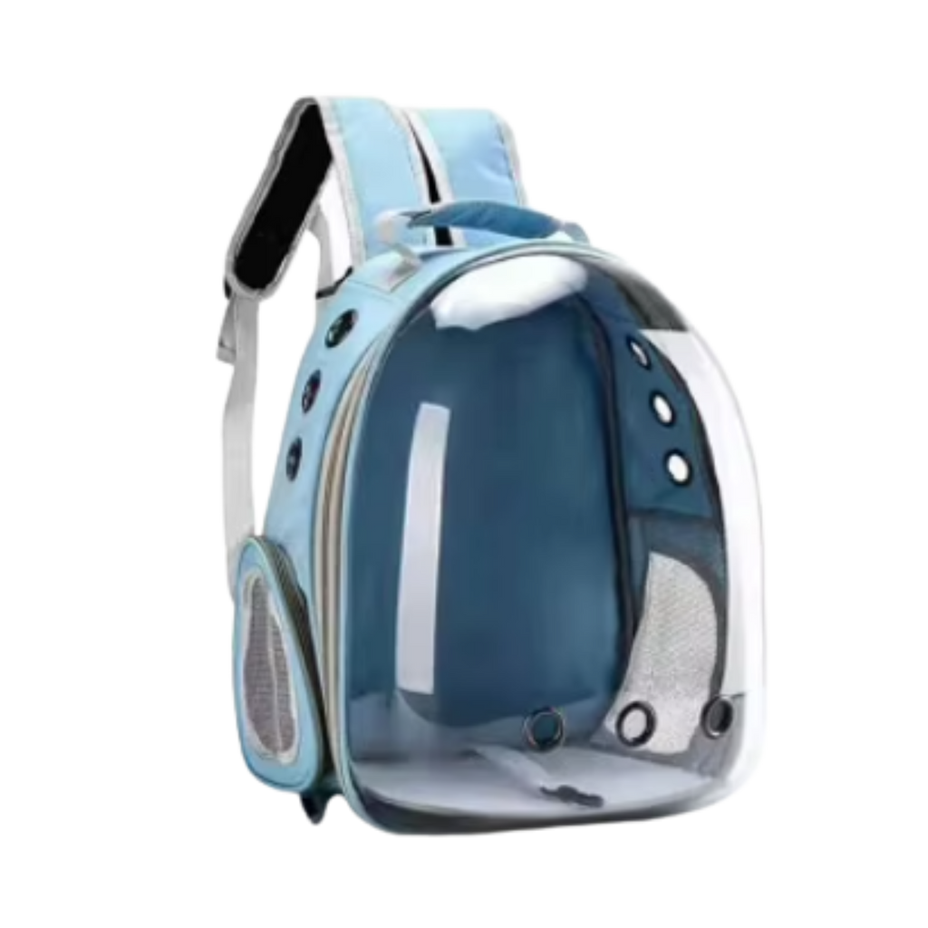 Rocket Cat Sky Blue